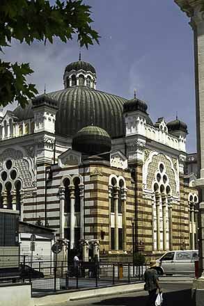 Sofia